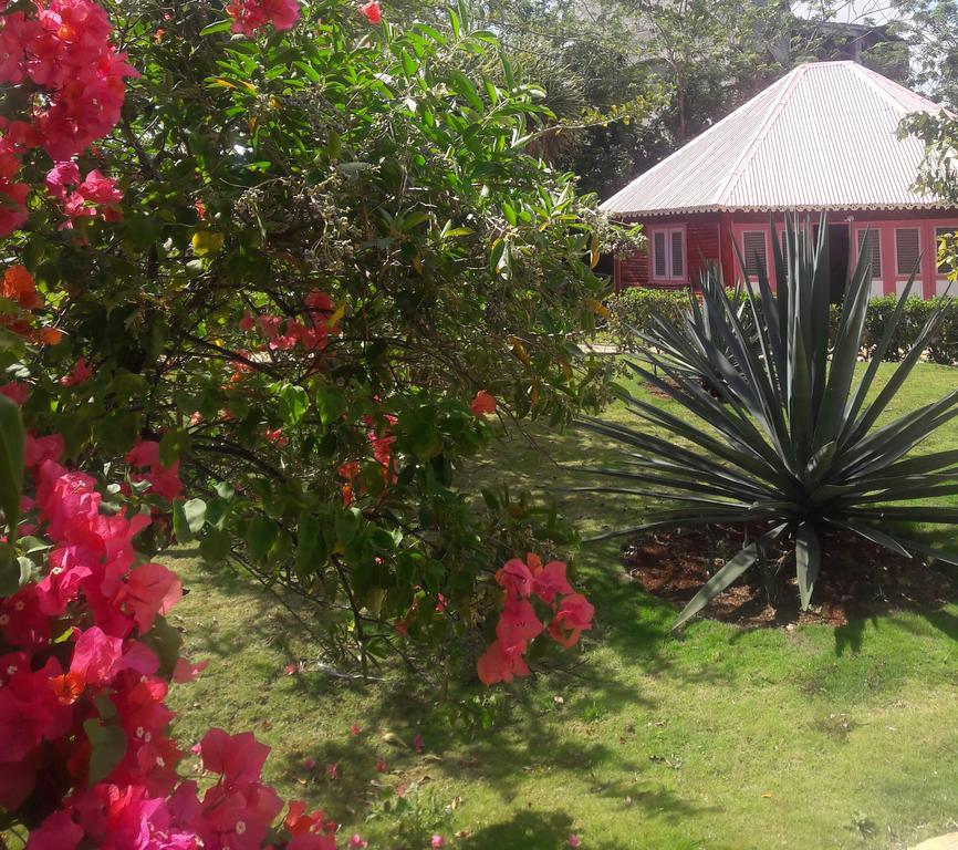 Las Puertas Del Paraiso Río San Juan Eksteriør billede